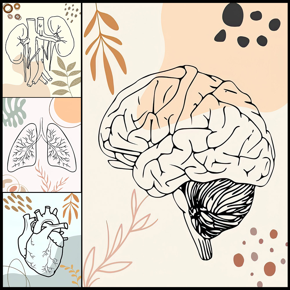 Poster Biologi Pembibitan Otak - Science Nursery ulasan dan harga