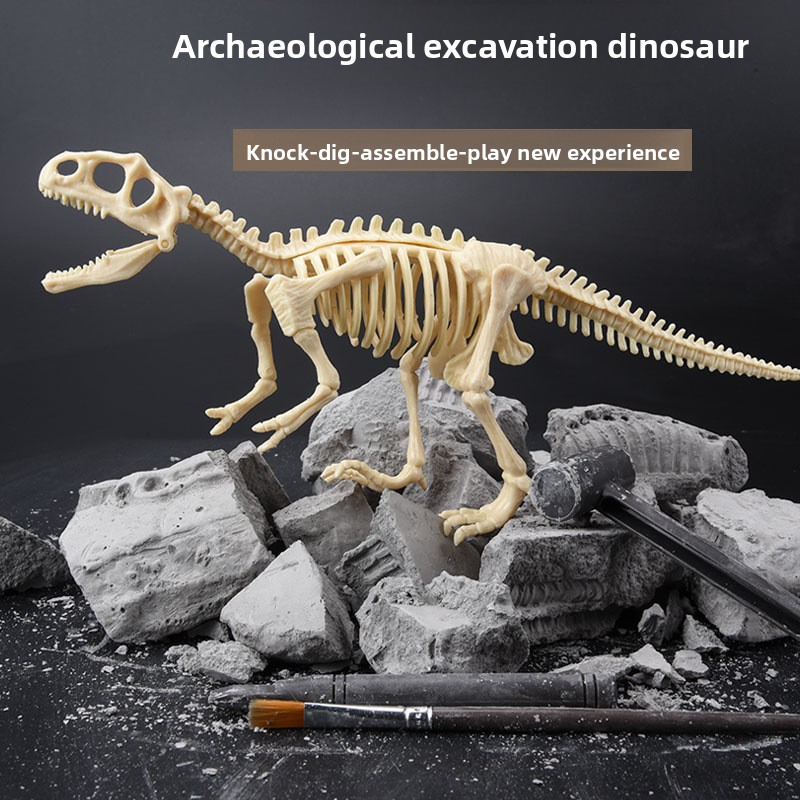 Kit Penggalian Fosil Dinosauru - Science Toy ulasan dan harga