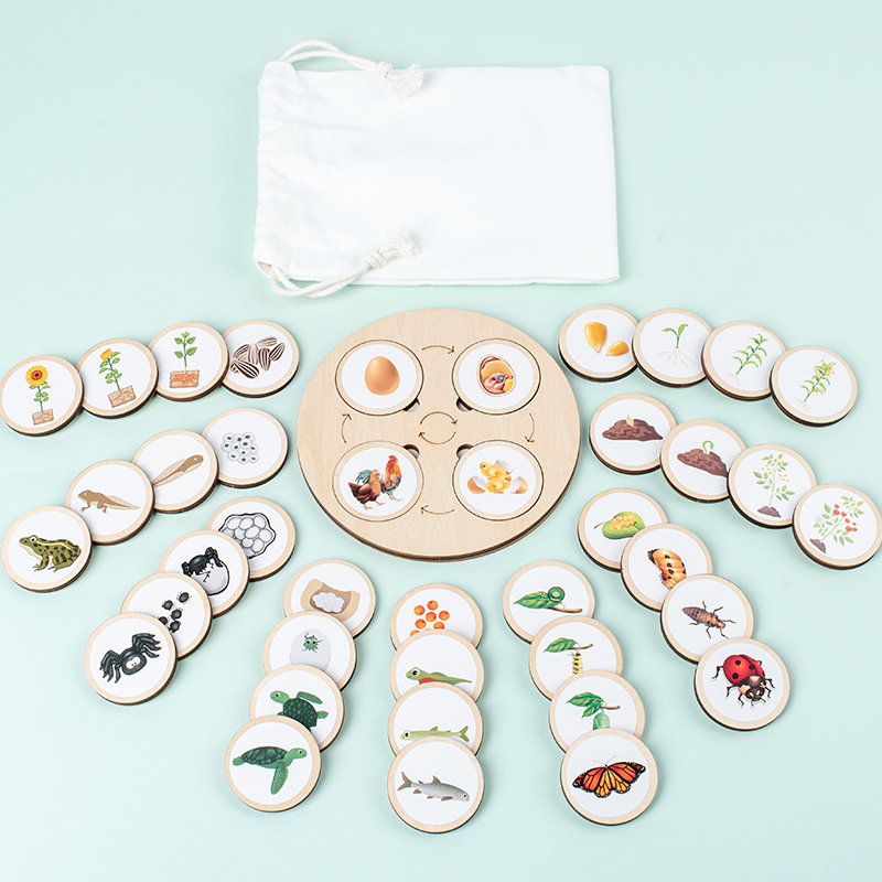 Papan sepeda hidup Kit Montess - Science Nature ulasan dan harga