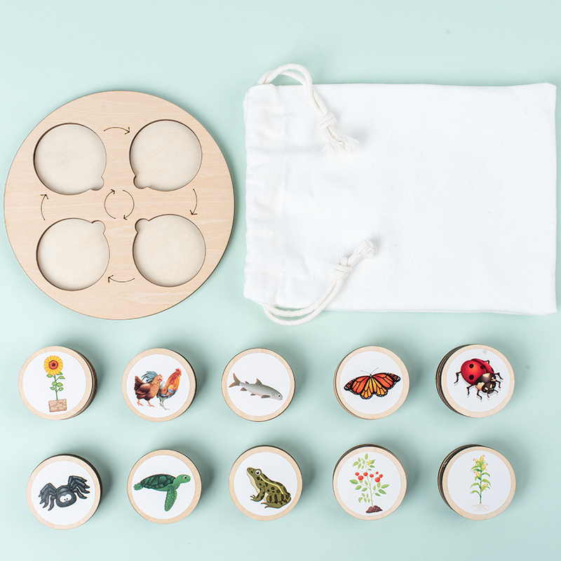 Papan sepeda hidup Kit Montess - Science Nature ulasan dan harga