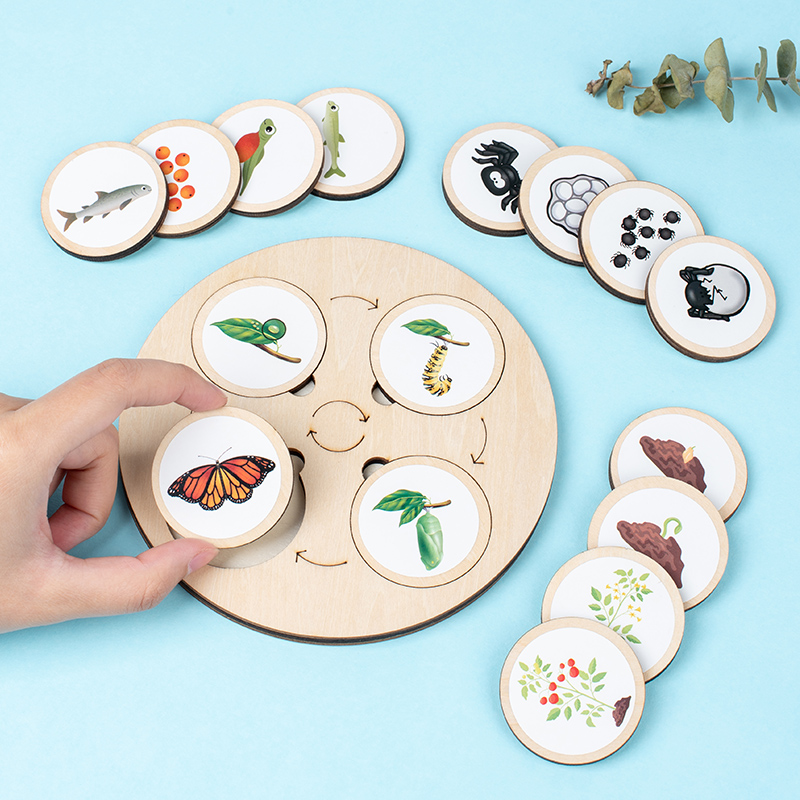 Papan sepeda hidup Kit Montess - Science Nature ulasan dan harga